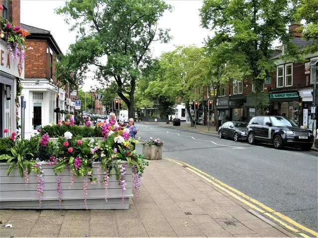Alderley Edge and Cheshire Countryside