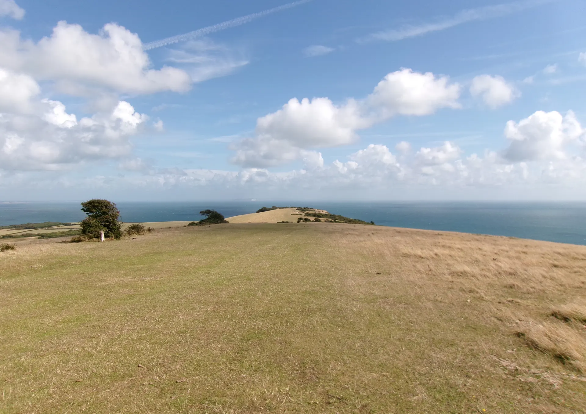 Ballard Down
