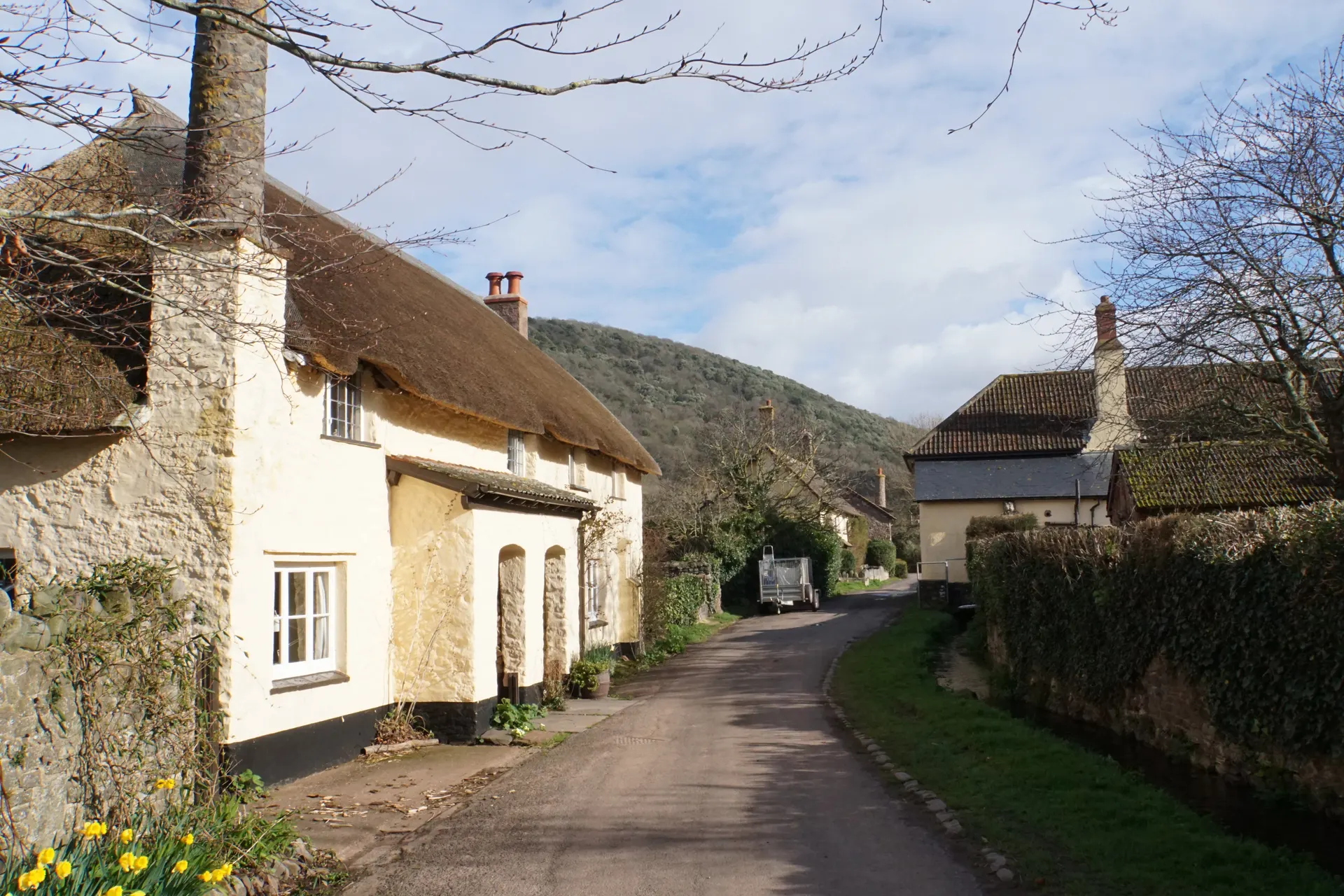 Bossington