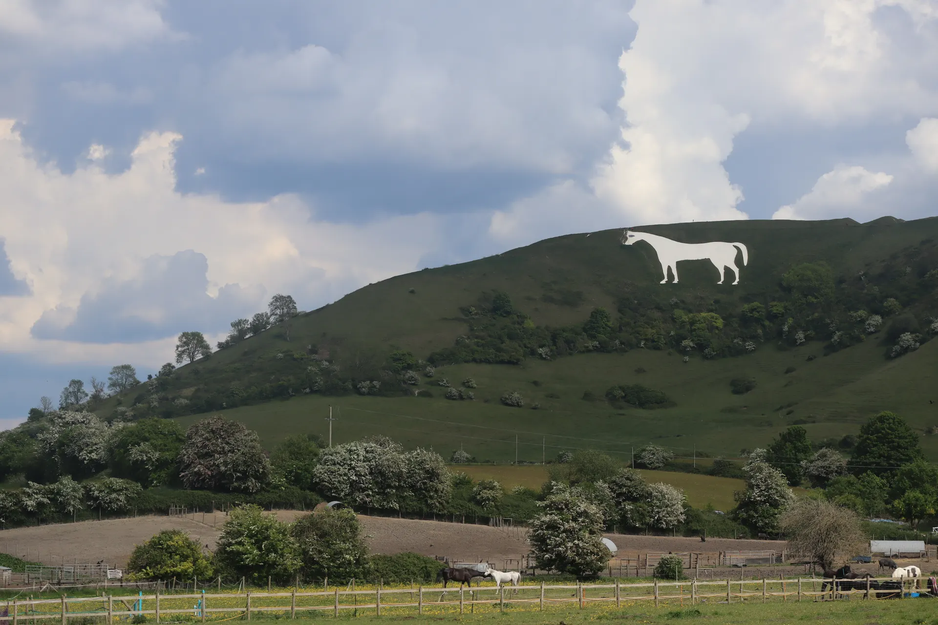 Bratton Camp and White Horse