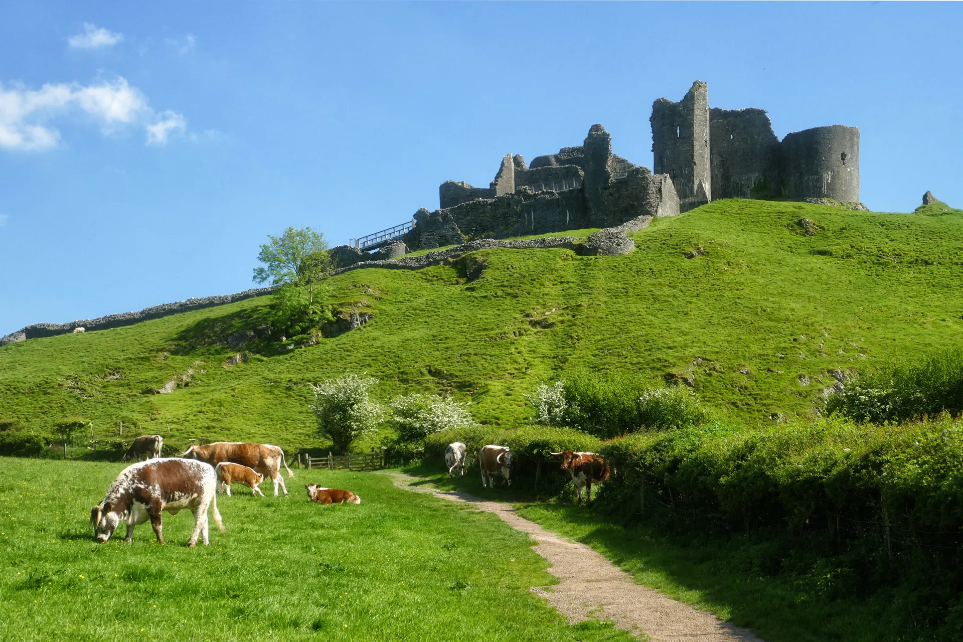 Castell Carreg Cennen