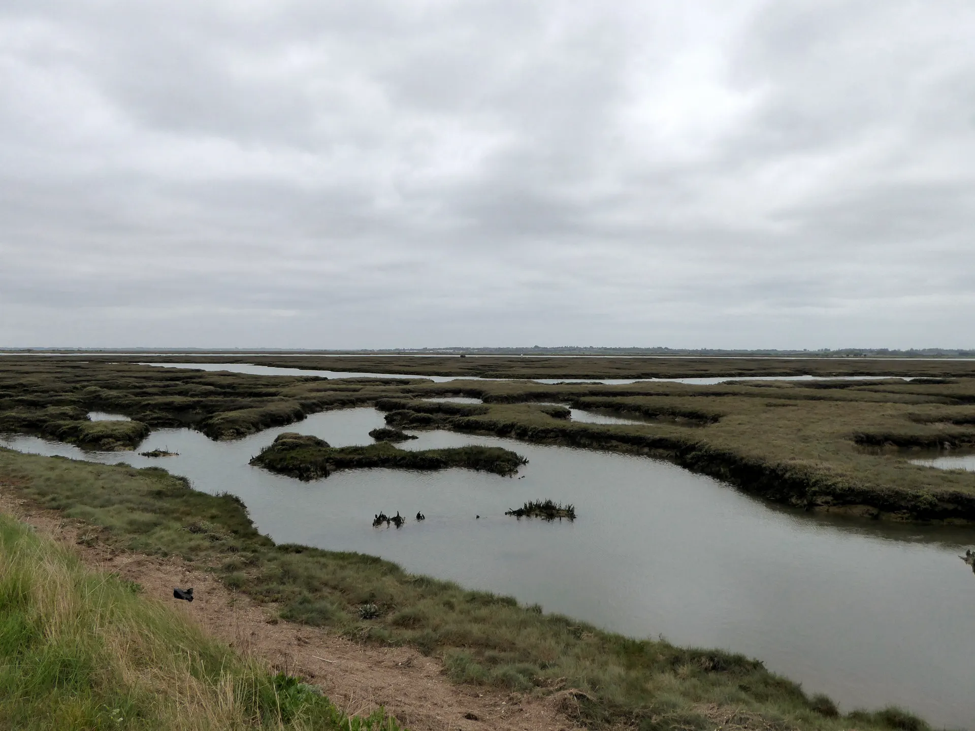 Copt Hall Marshes