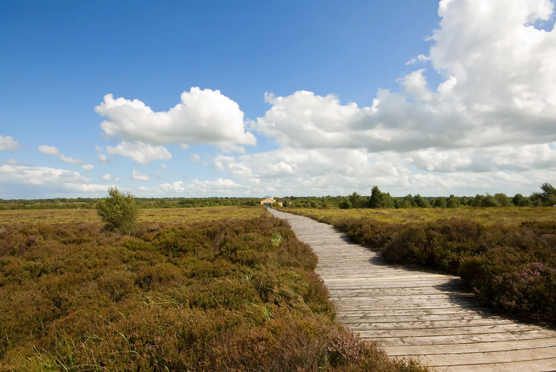 Corlea Trackway Visitor Centre