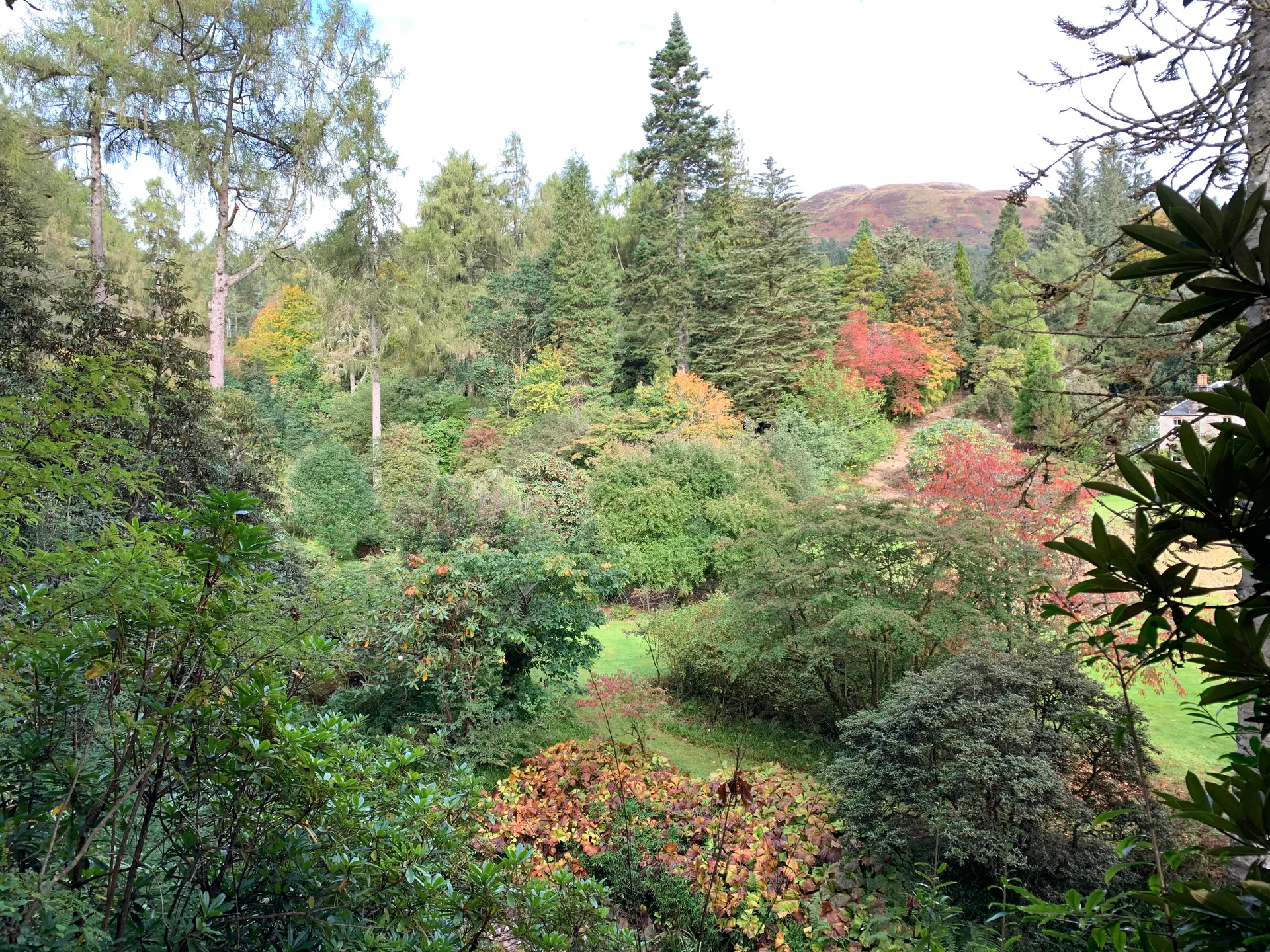 Crarae Woodland Garden
