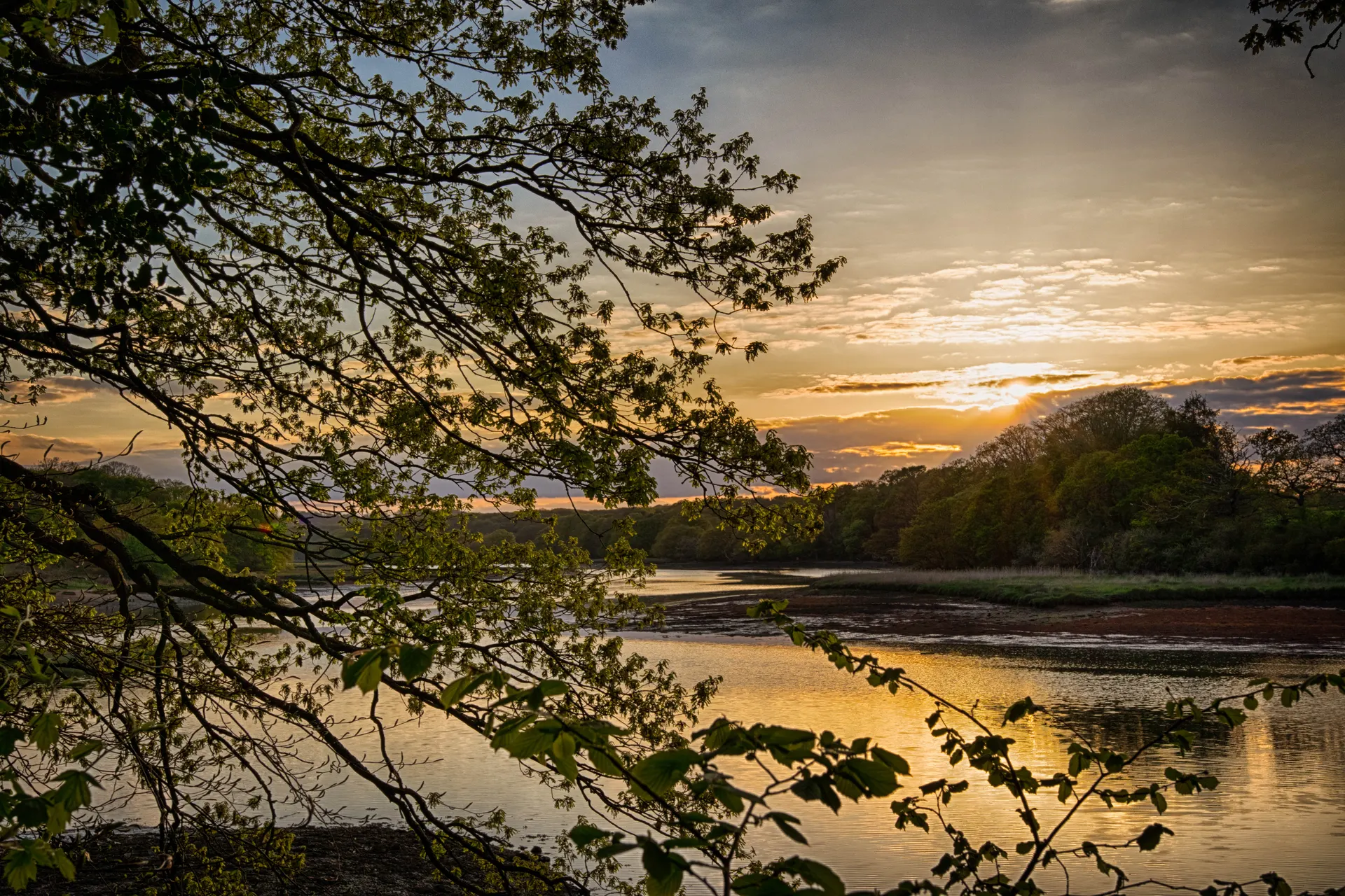 Curbridge Nature Reserve