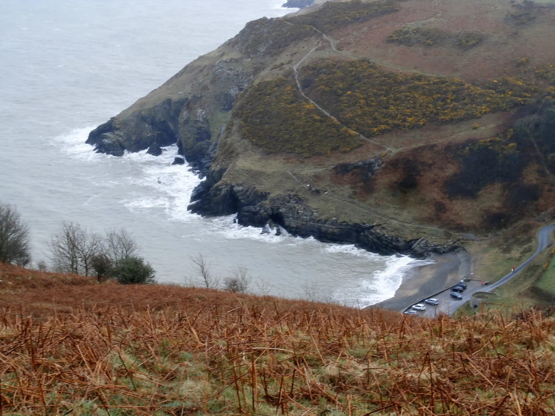 Cwmtydu to New Quay