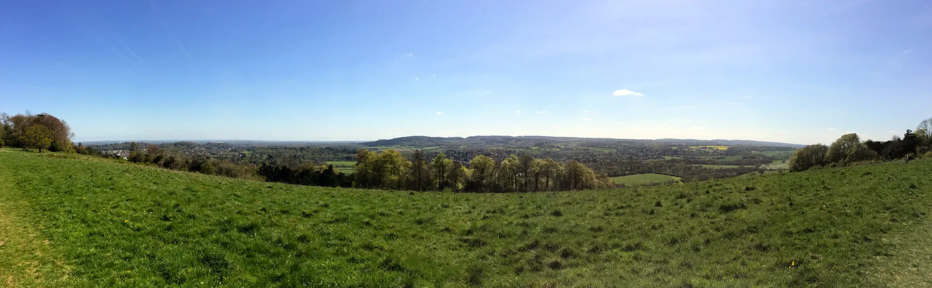 Denbies Hillside