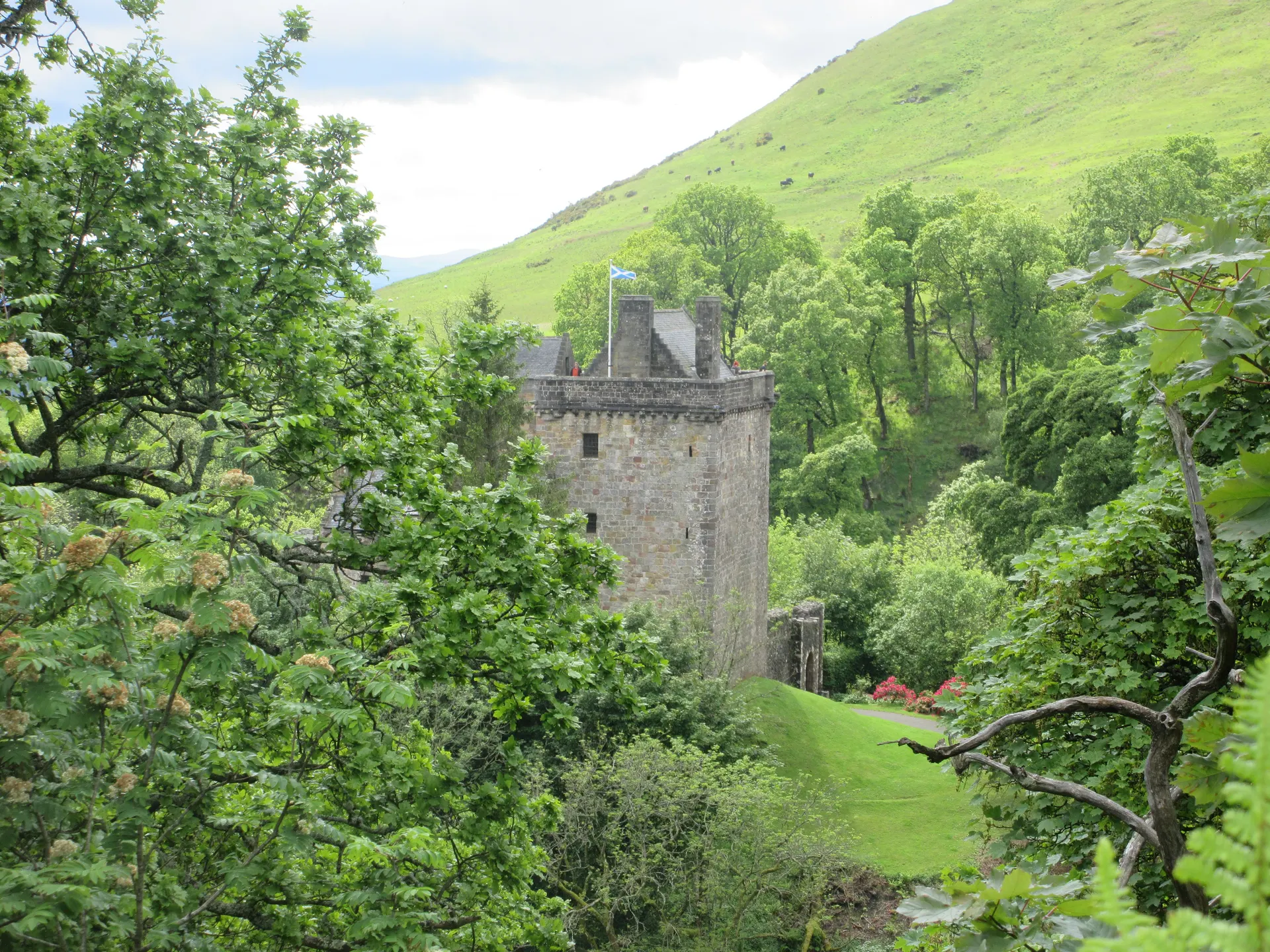 Dollar Glen