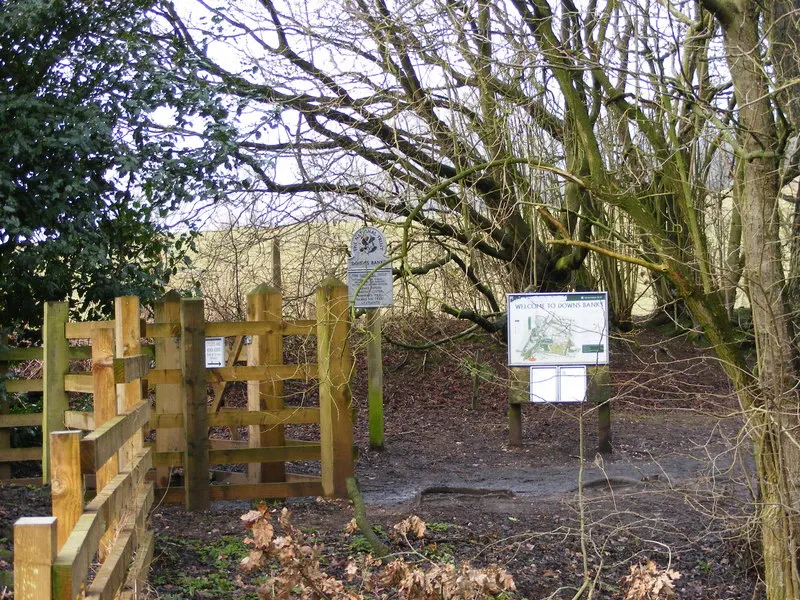 Downs Banks