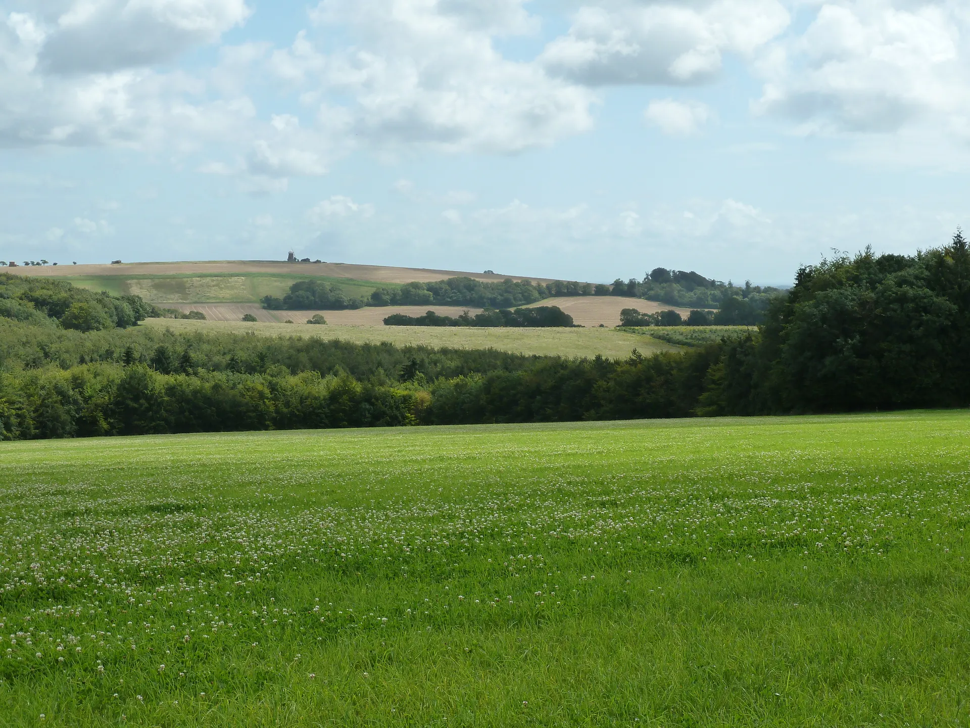 Drovers Estate