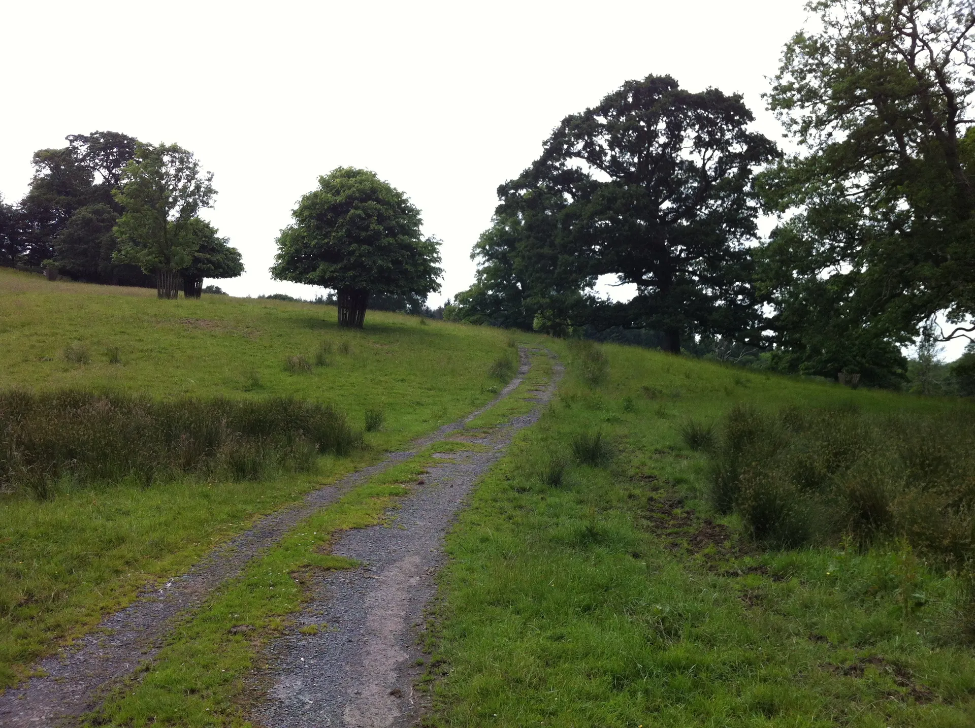 Dunsland