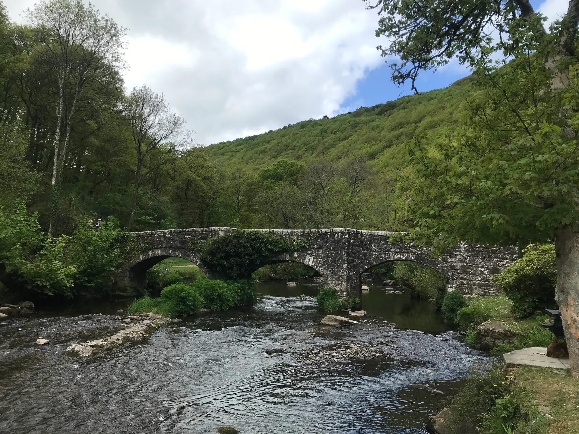 Fingle Bridge