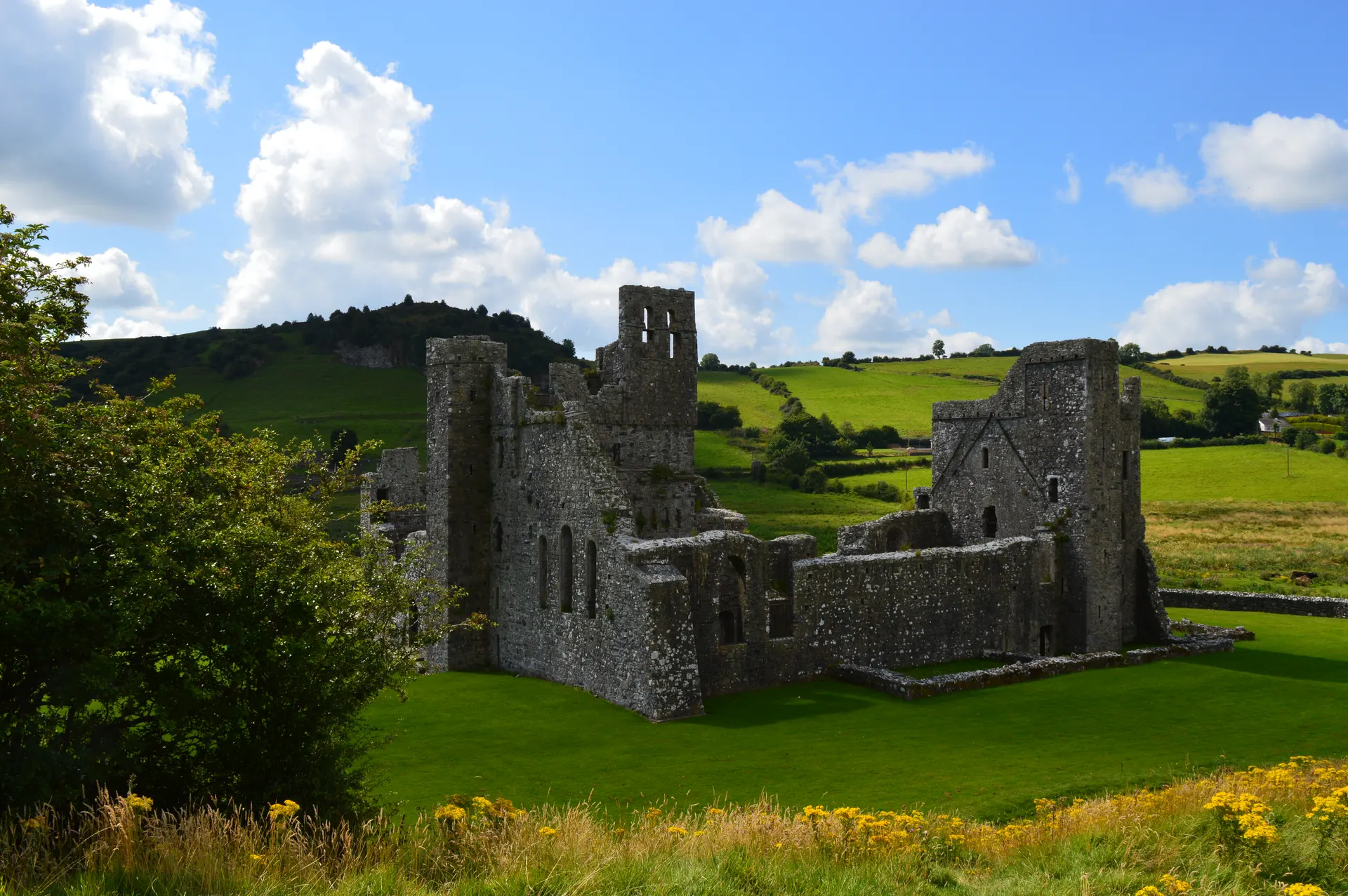 Fore Abbey