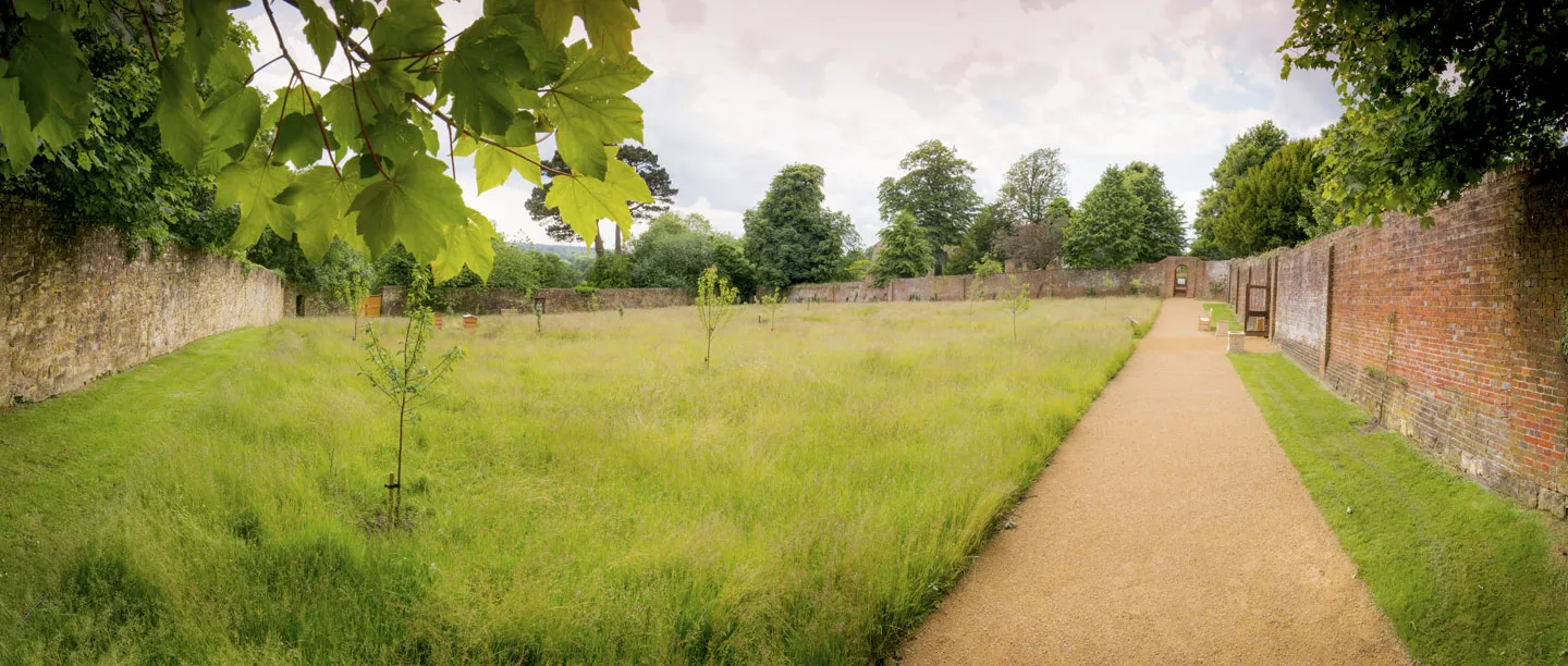 The walled garden at Battle Abbey, a meadow with young fruit trees beside old brick walls and a gravel path
