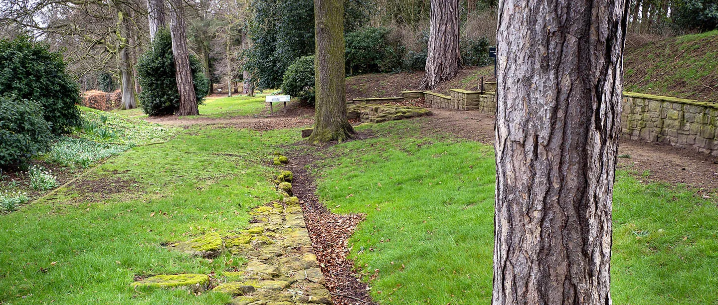 A line of mossy Roman stones through the wooded gardens at Aldborough, with snowdrops on the bank