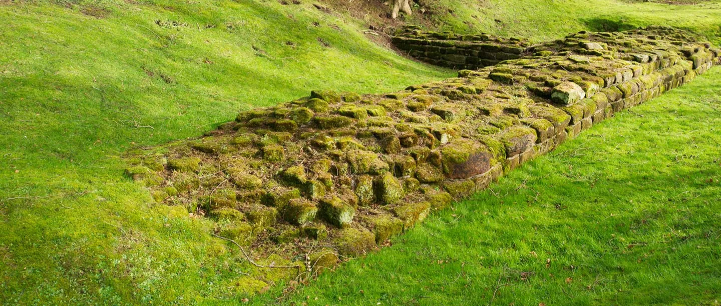 A moss-covered stretch of Aldborough's Roman town wall foundations in bright green grass