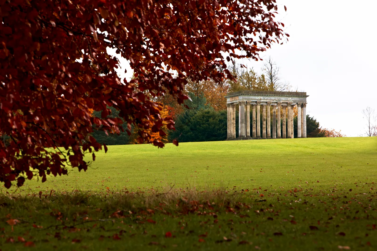 The Temple of Concord beyond autumn leaves