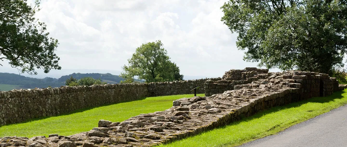 Hadrian's Wall rising to the ruined Banks East Turret beside a road, with a lawn, a dry-stone wall and trees against a cloudy sky