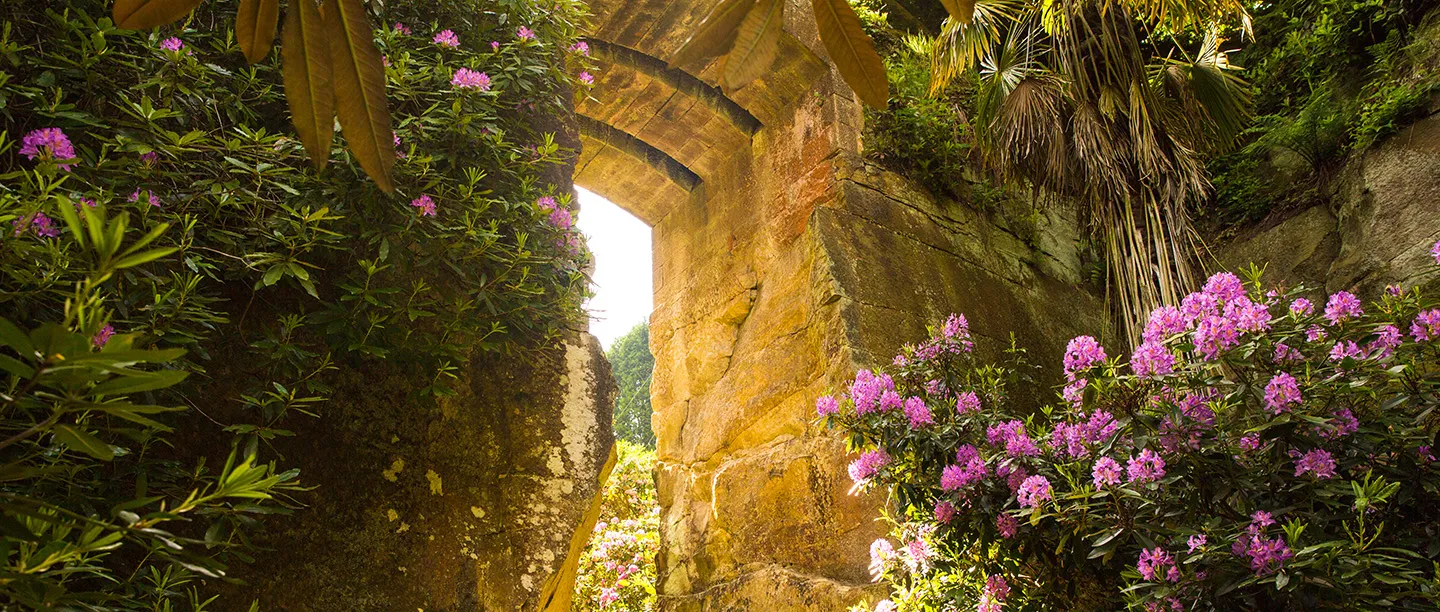 Rhododendrons and a palm beneath a sandstone arch in the Quarry Garden
