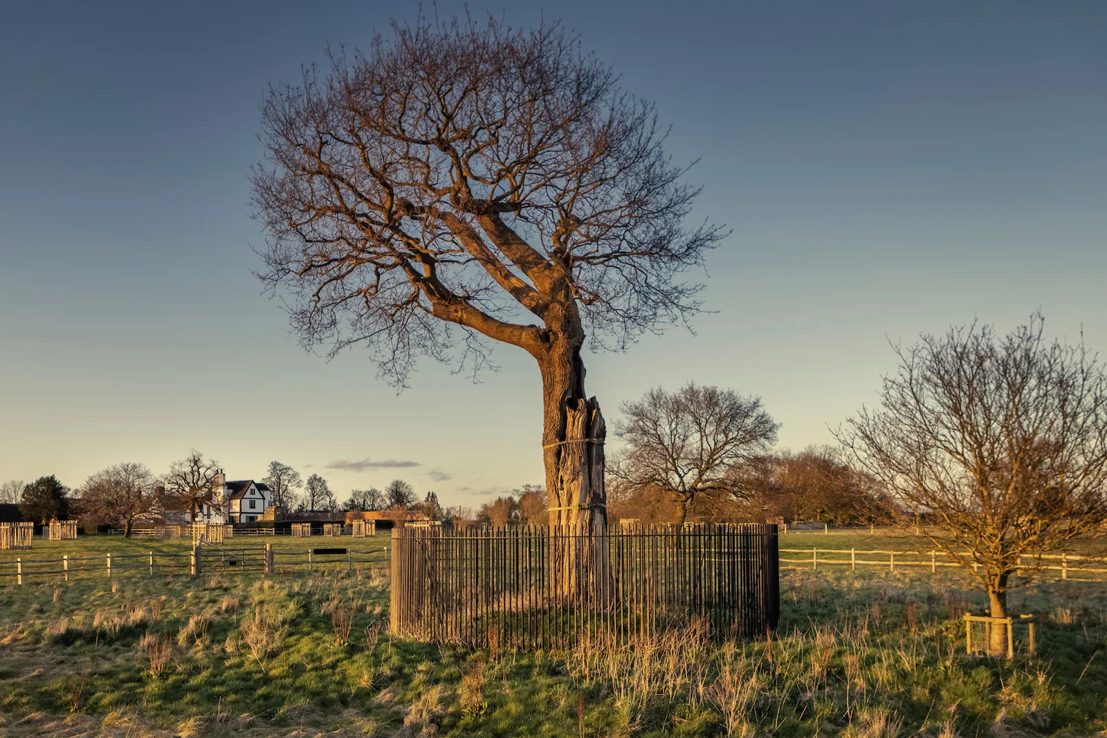 The Royal Oak and its railings in low evening sun, with Boscobel House across the field