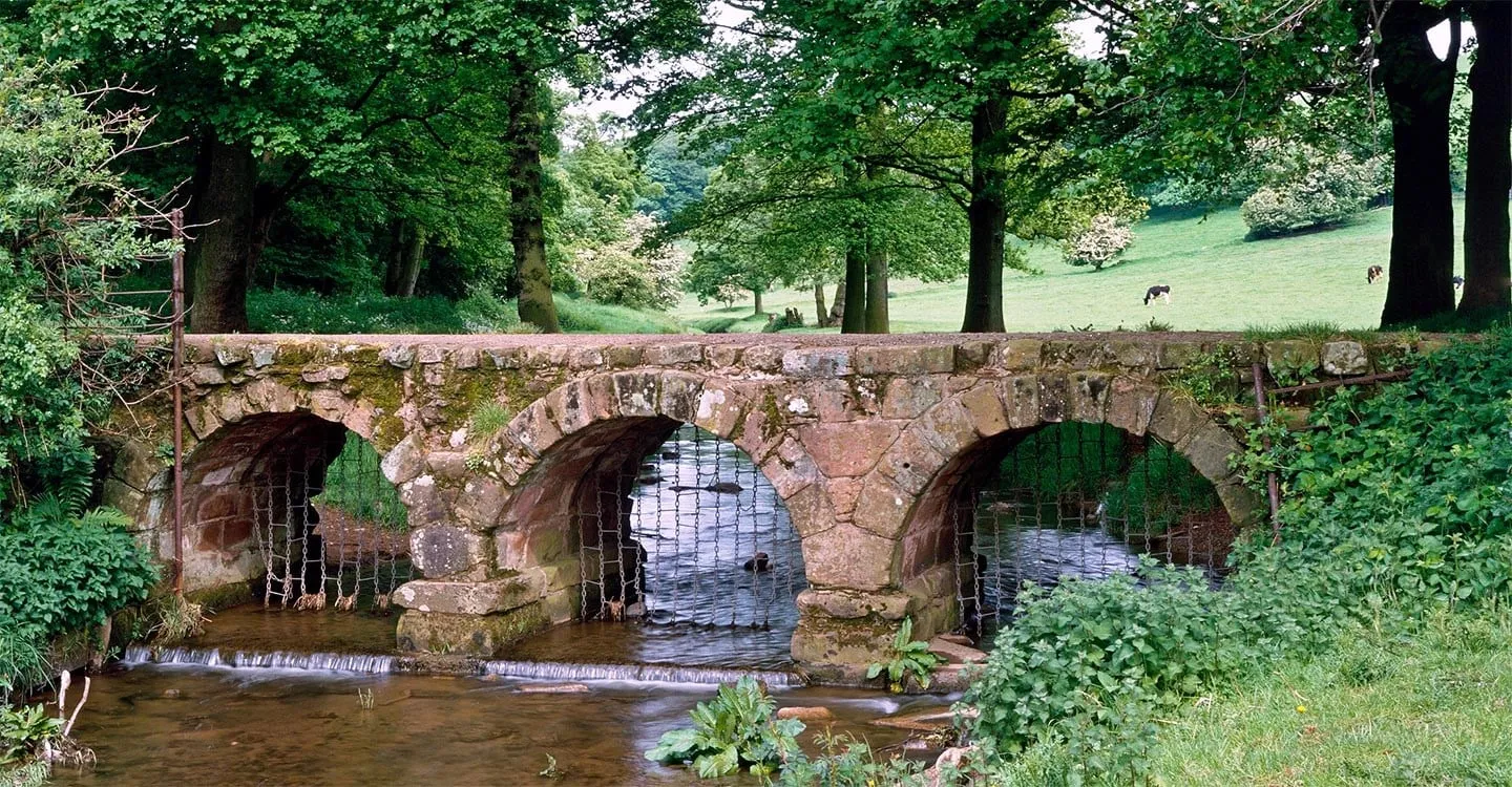 Bow Bridge, a three-arched medieval sandstone bridge over a shallow stream, with chain grilles under the arches and cattle grazing in parkland beyond