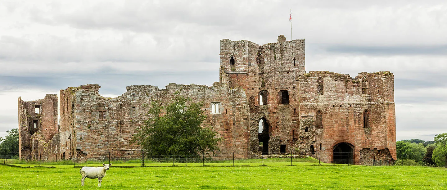 The red sandstone curtain wall and gatehouse of Brougham Castle with a sheep in the field