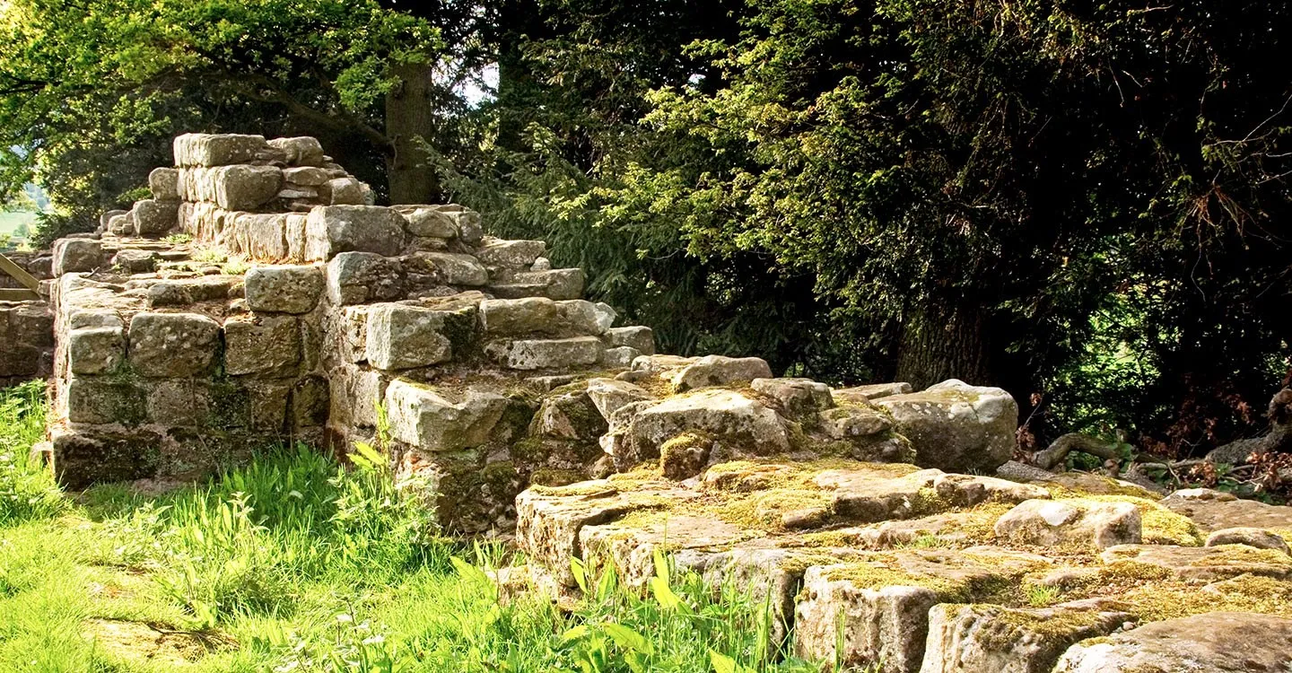 The moss-covered stepped stone walls of Brunton Turret on Hadrian's Wall under trees in summer sunshine