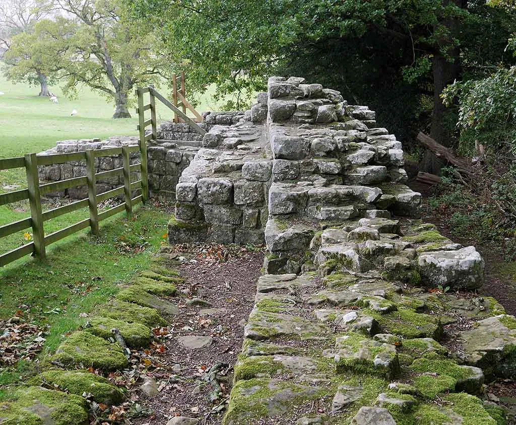 Hadrian's Wall at Brunton Turret, its broad mossy foundation and stepped walls beside a wooden fence, with sheep in parkland beyond