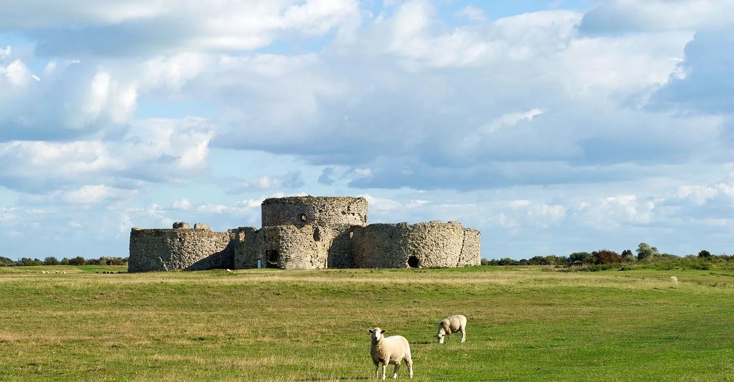 The low round towers of Camber Castle, a Tudor artillery fort, standing in flat grassland with sheep grazing beneath a cloudy sky
