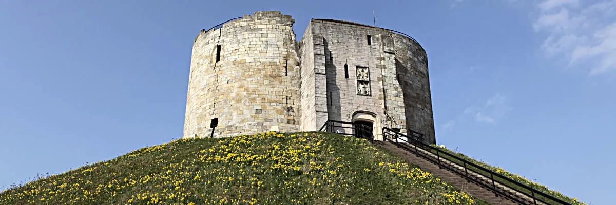 The keep above a motte covered in spring daffodils