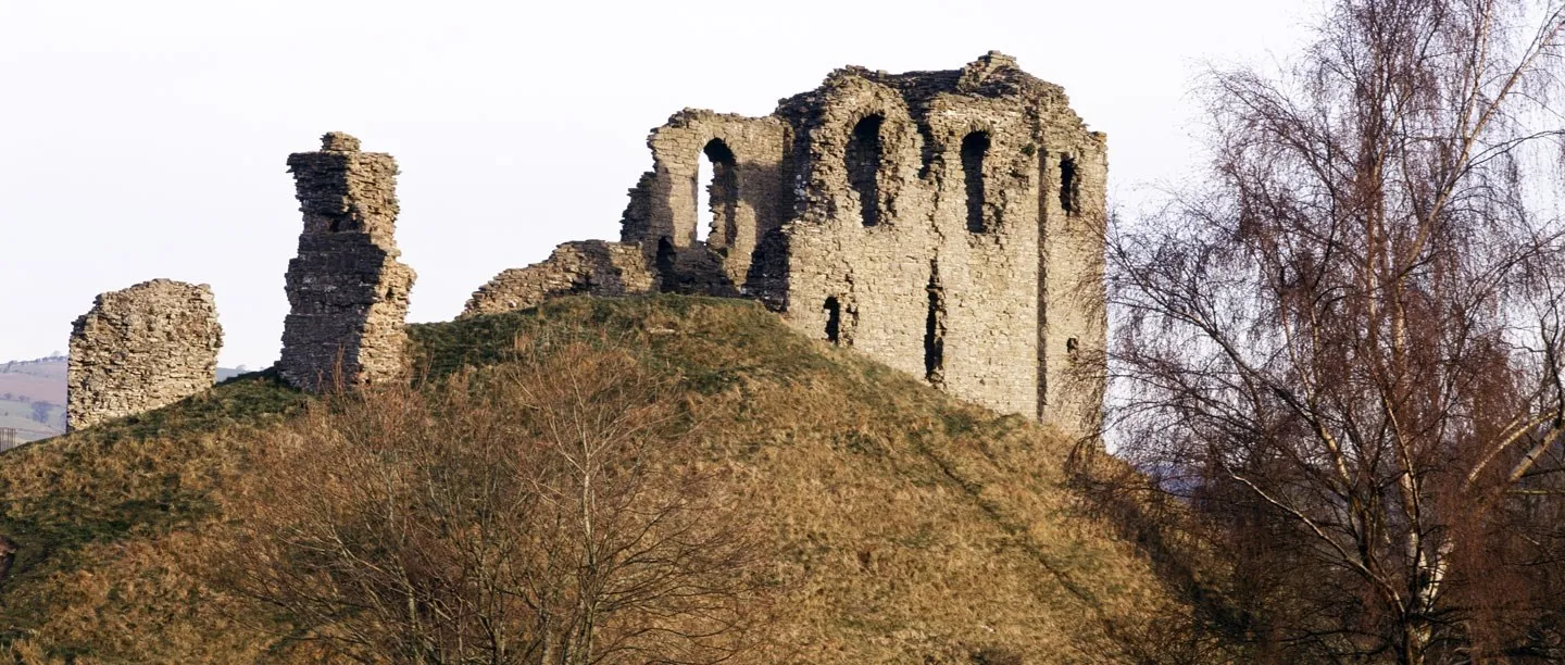 Ruined walls of Clun Castle's keep on its grassy motte, with bare birch trees in winter sunlight