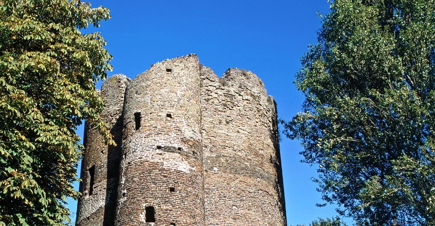 Looking up at the round brick walls of Cow Tower in Norwich between a horse chestnut and a poplar, under a deep blue sky
