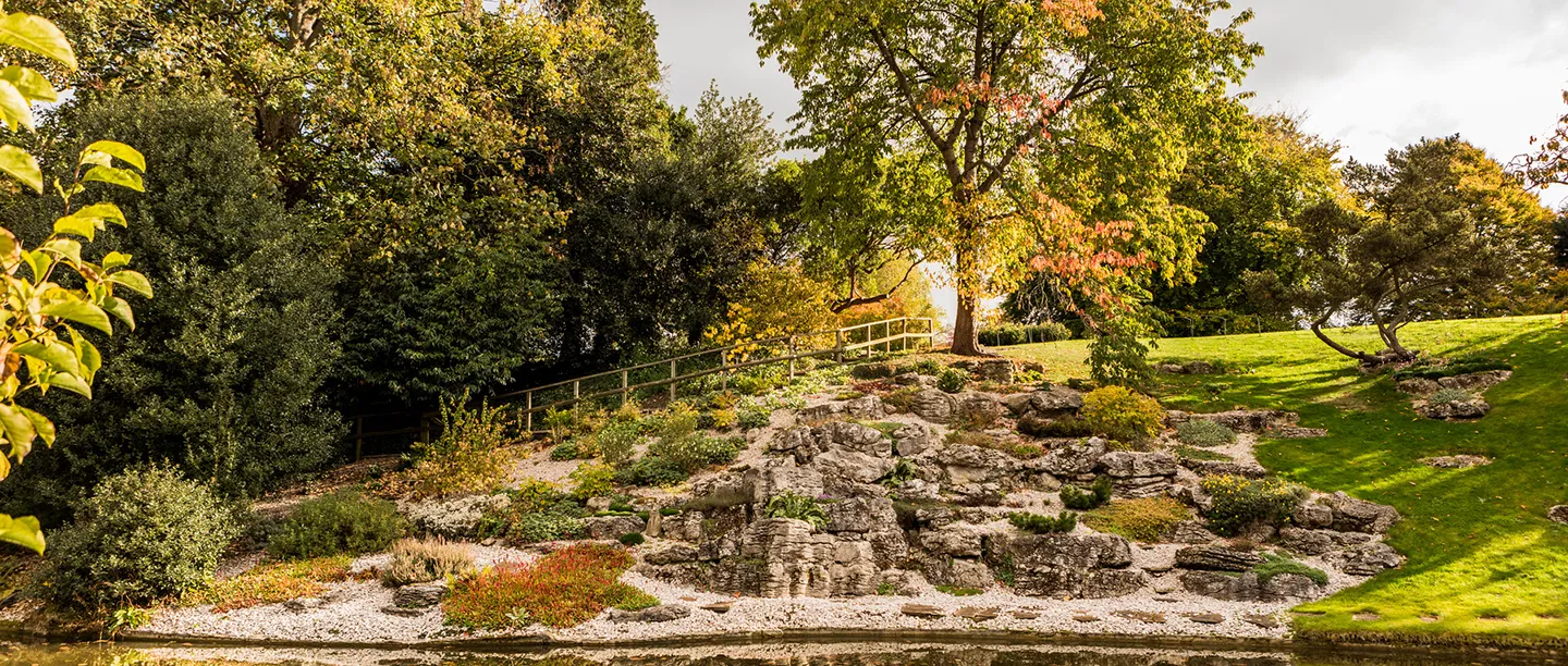 The rock garden and lawn in autumn colour