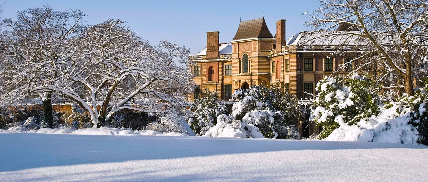 Snow-laden trees on the lawn in front of the house