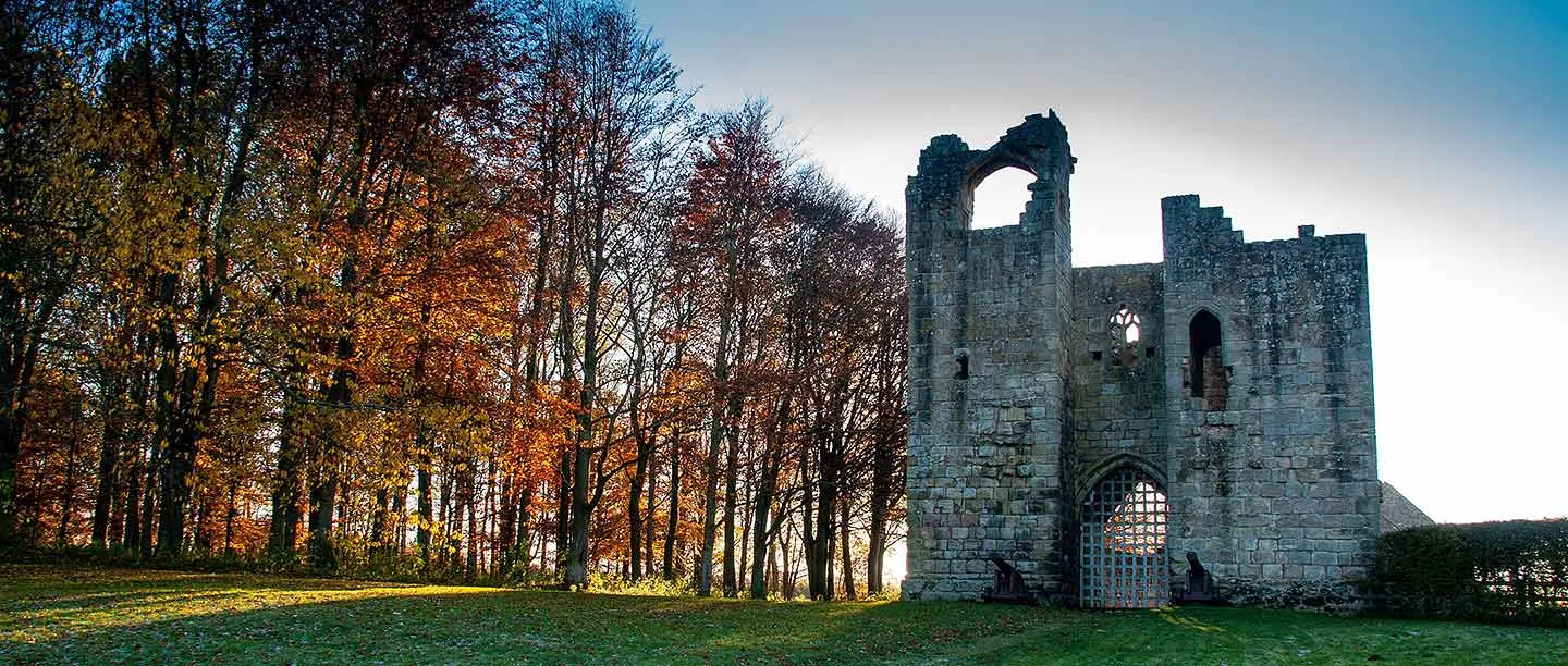 The ruined gatehouse of Etal Castle in low autumn light beside a line of copper and gold beech trees