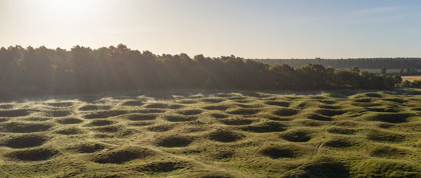 Rows of grassy hollows left by Neolithic flint mine shafts at Grime's Graves, with low mist and a line of pine trees in soft morning light
