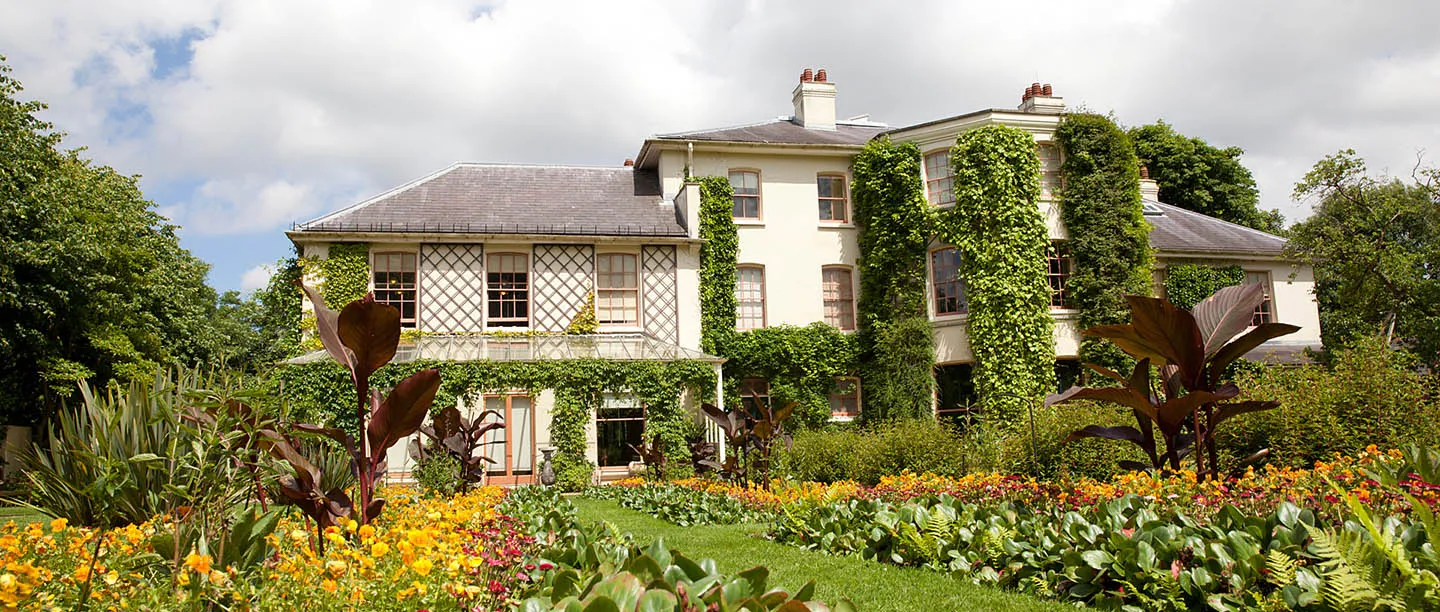 The ivy-covered garden front of Down House behind beds of cannas and marigolds
