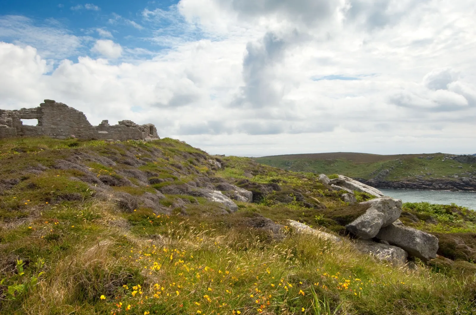 The ruined walls of King Charles's Castle on a heathery headland above a bay on Tresco