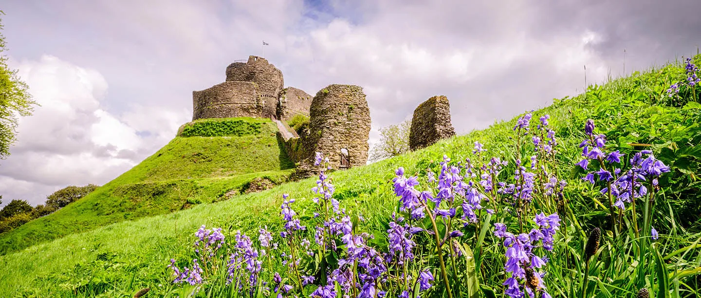 Launceston Castle's round keep on its steep grassy motte, with bluebells on the bank in the foreground