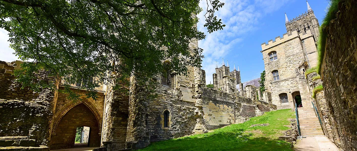 Ruined halls, an arched gateway and steps up to the Alnwick Tower at Lincoln Medieval Bishops' Palace under a tree