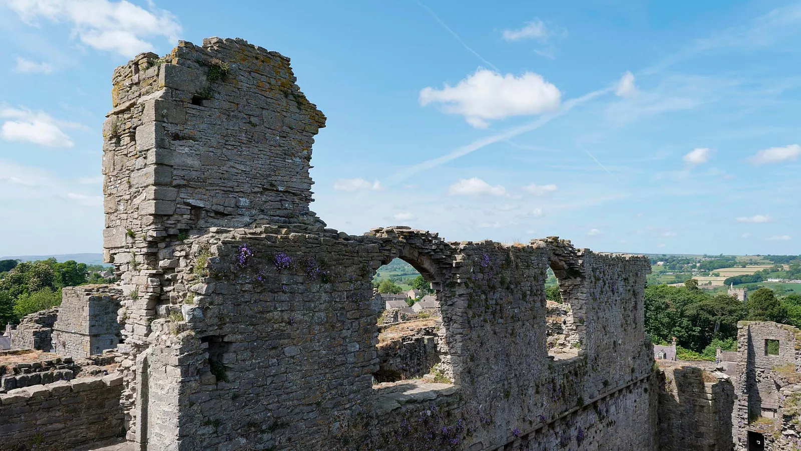 A ruined tower and arched walls of Middleham Castle with wild flowers, looking out over Wensleydale