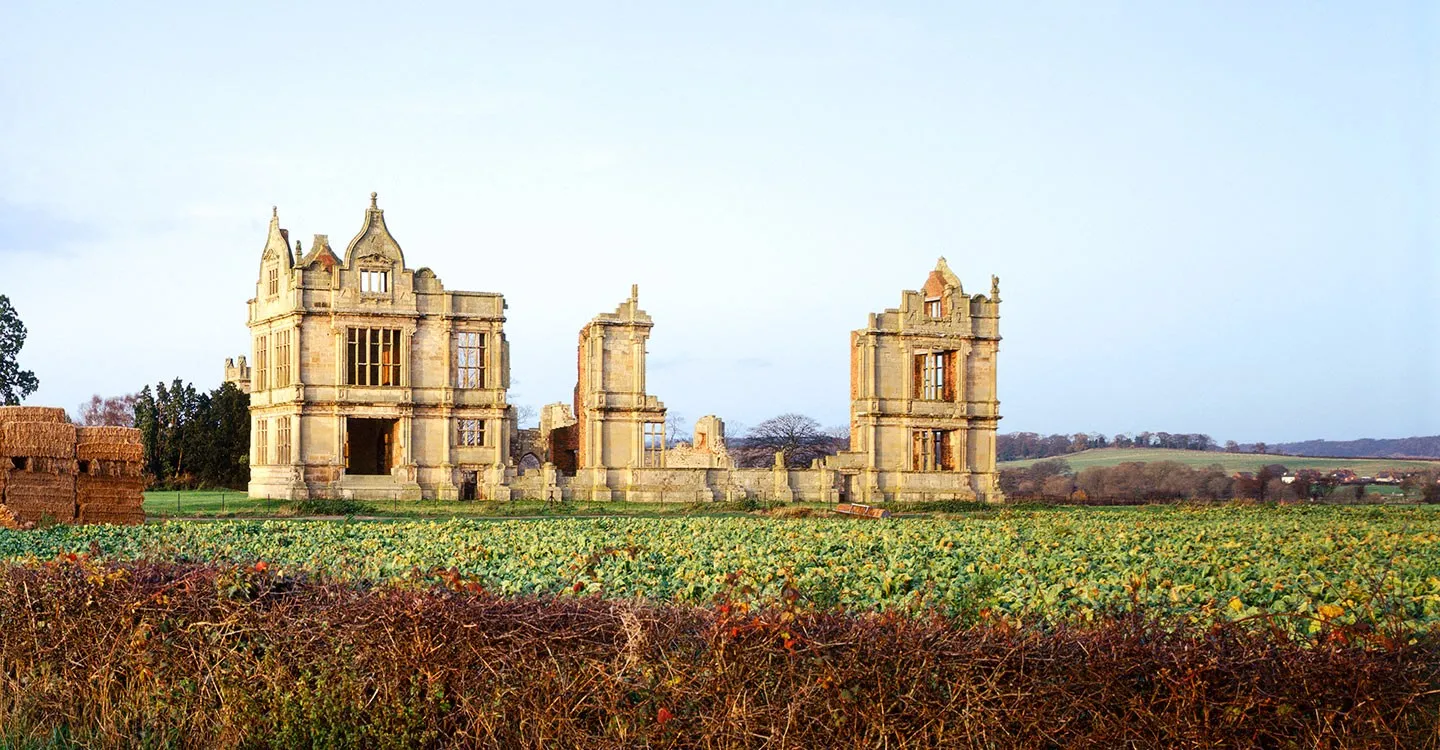 The ruined Elizabethan south range of Moreton Corbet Castle in warm winter light, beyond a field of brassicas and a hedge
