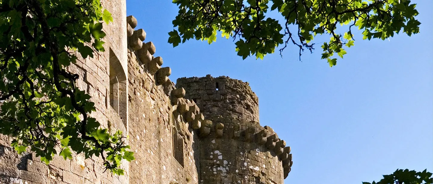 The corbelled parapet and round tower of Nunney Castle in sunshine, framed by green plane leaves against a blue sky