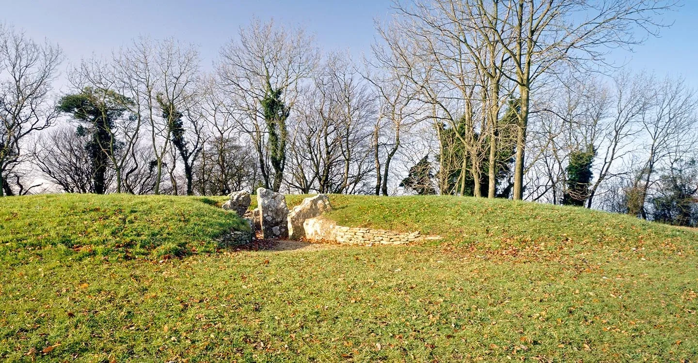 The roofless stone chambers of Nympsfield Long Barrow set into a grassy mound, with bare trees behind in winter sunshine