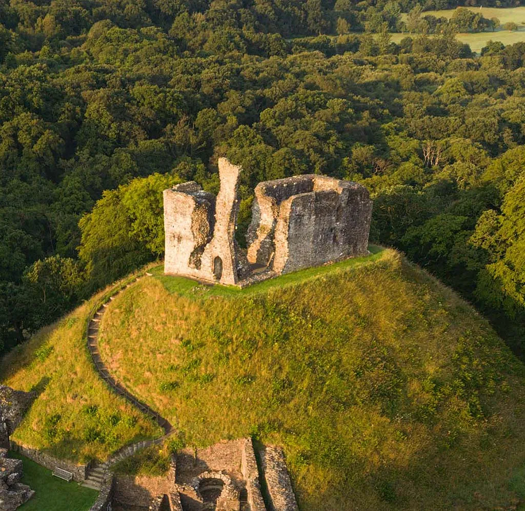 Aerial view of the keep on Okehampton Castle's motte, with a path of steps winding up through the grass and woodland beyond