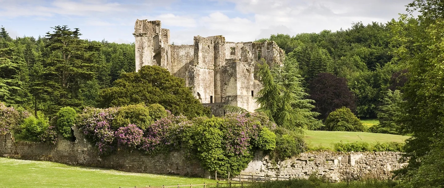 Old Wardour Castle's ruined towers rising above trees and flowering rhododendrons beyond a garden wall