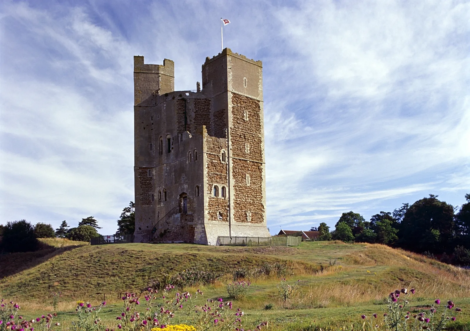 The keep and its entrance stair above the castle earthworks, with thistles in flower