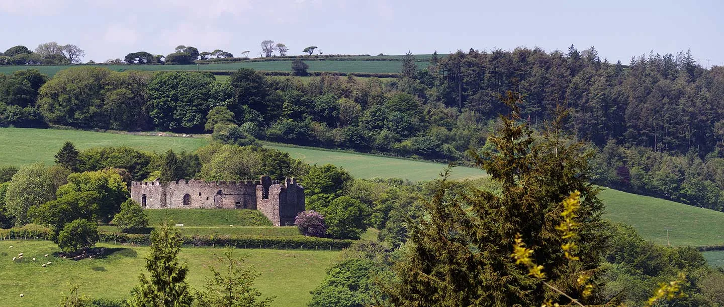 Restormel Castle seen across the wooded Fowey valley, with sheep grazing in the fields below