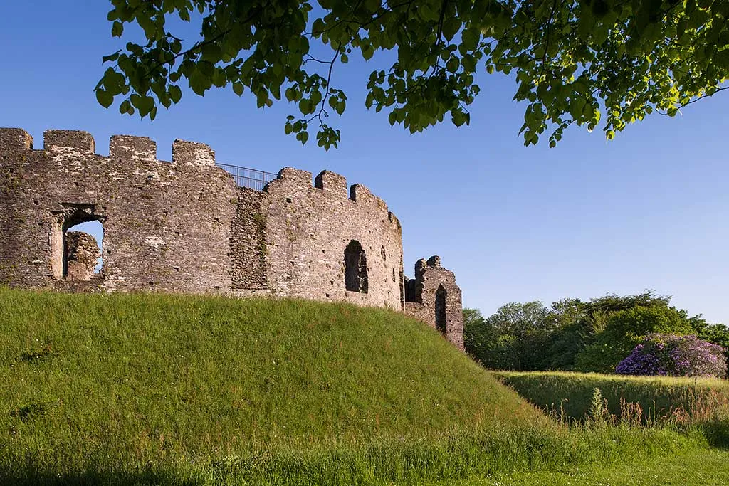 The battlements of Restormel's keep above the grassy ditch and bank, under a branch of leaves