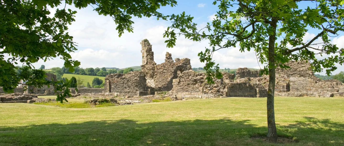 The low ruined walls of Sawley Abbey seen across a sunny lawn between young oak trees, with green Ribble Valley hills beyond